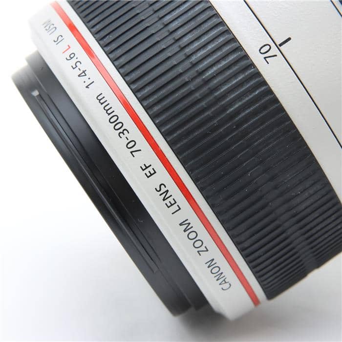 EF70-300mm F4-5.6L IS USM