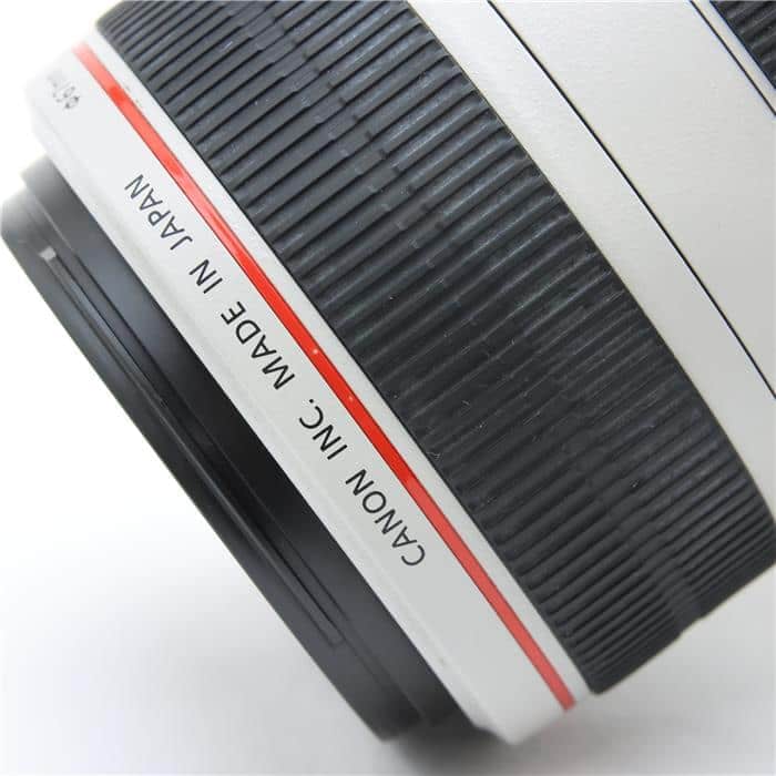 EF70-300mm F4-5.6L IS USM