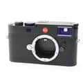 Leica (ライカ) M11 ブラックペイント