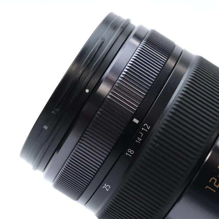 LUMIX G X VARIO 12-35mm F2.8 ASPH. POWER O.I.S.