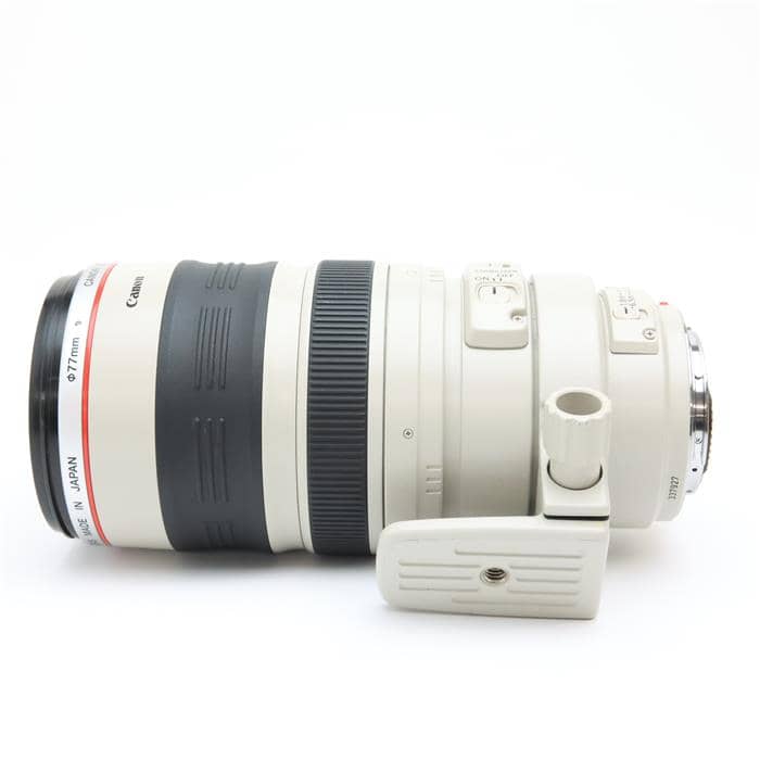 EF100-400mm F4.5-5.6L IS USM