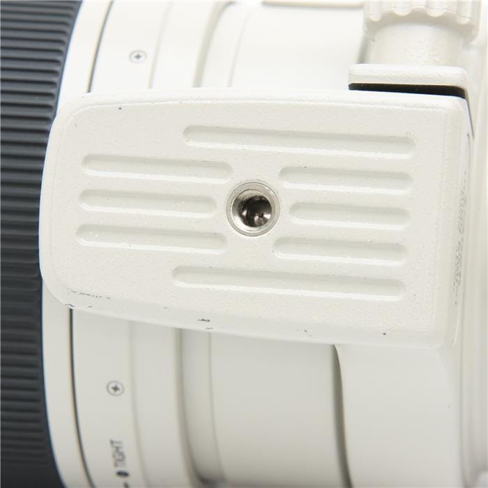 EF100-400mm F4.5-5.6L IS USM