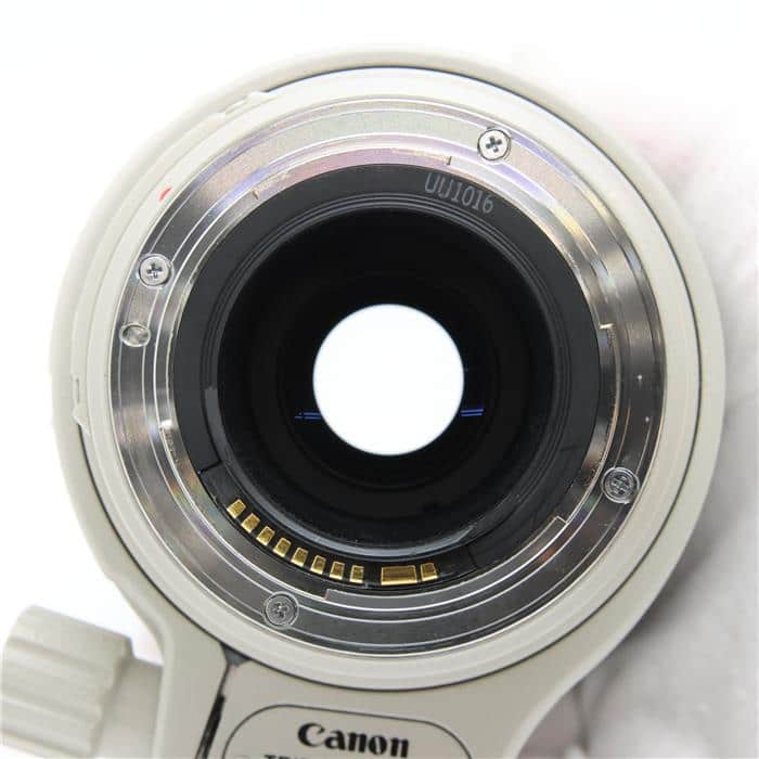 EF100-400mm F4.5-5.6L IS USM