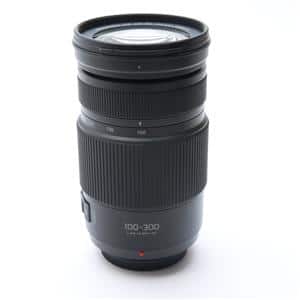 Amazon.com : Panasonic LUMIX G VARIO 100-300mm F4.0-5.6 MEGA