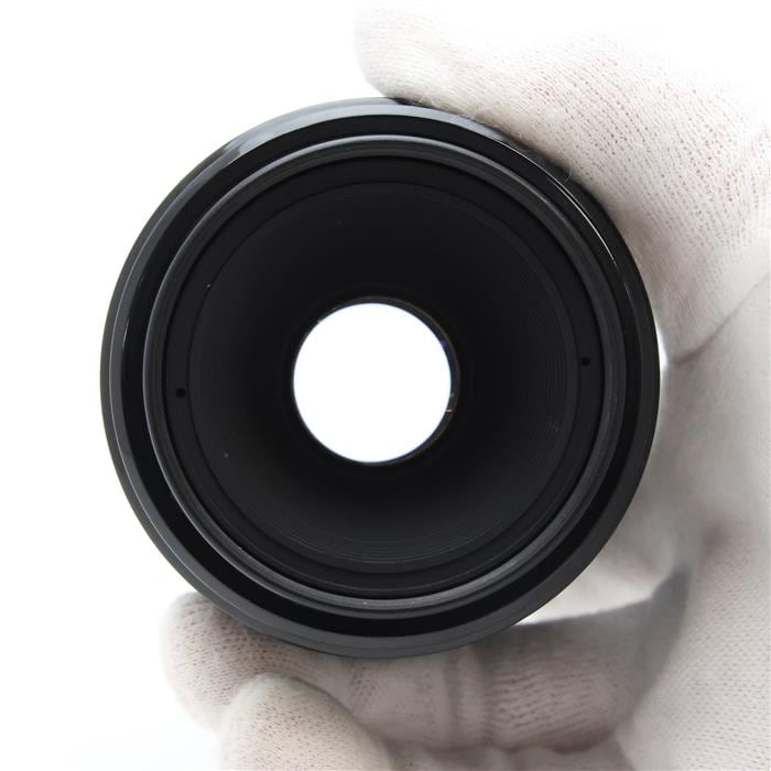 EF50mm F2.5 コンパクトマクロ