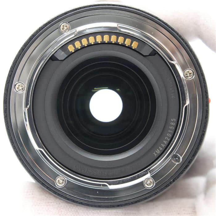 LUMIX S 100mm F2.8 MACRO