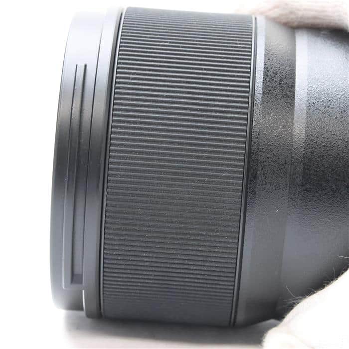 LUMIX S 100mm F2.8 MACRO