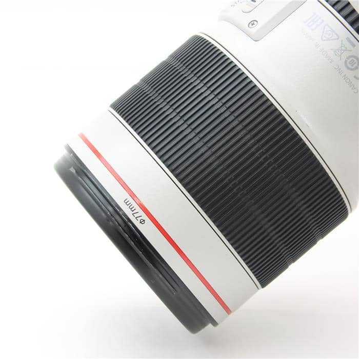 EF70-200mm F2.8L IS III USM