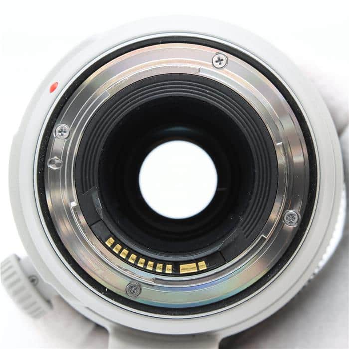 EF100-400mm F4.5-5.6L IS II USM