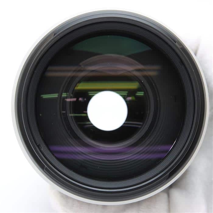 EF100-400mm F4.5-5.6L IS II USM