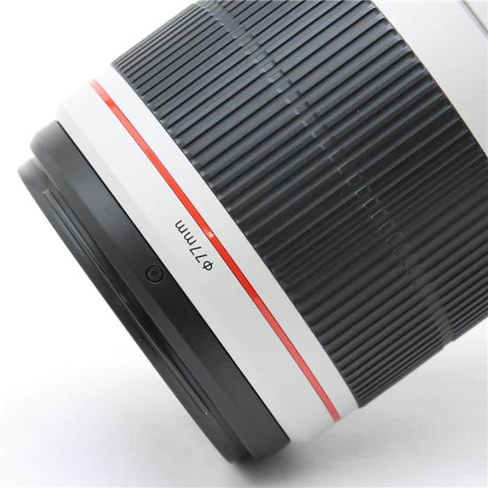 EF100-400mm F4.5-5.6L IS II USM