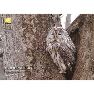 Nikon (ニコン) COOLPIX P1100