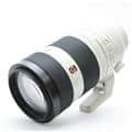 FE 100-400mm F4.5-5.6 GM OSS SEL100400GM