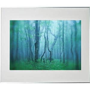 Kenko (ケンコー) アルミ額縁 ギャラリー A2 アクリル入り AGY-A2-SV シルバー メイン