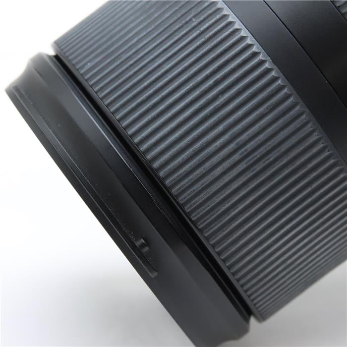 28-75mm F2.8 DiIII RXD / Model A036SF (ソニーE用/フルサイズ対応)