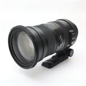 SIGMA APO 50-500mm F4.5-6.3 DG OS HSM」の商品検索結果