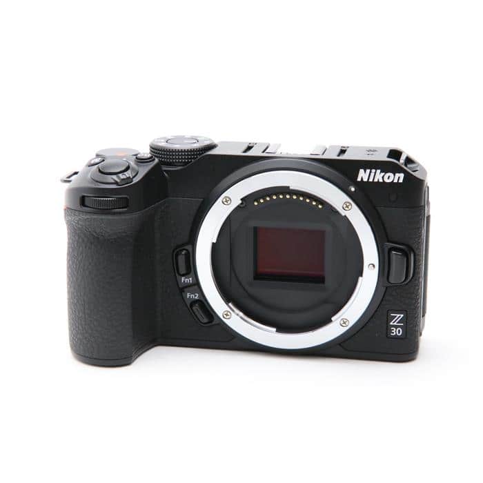 Z30 ボディ