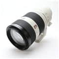 FE 100-400mm F4.5-5.6 GM OSS SEL100400GM