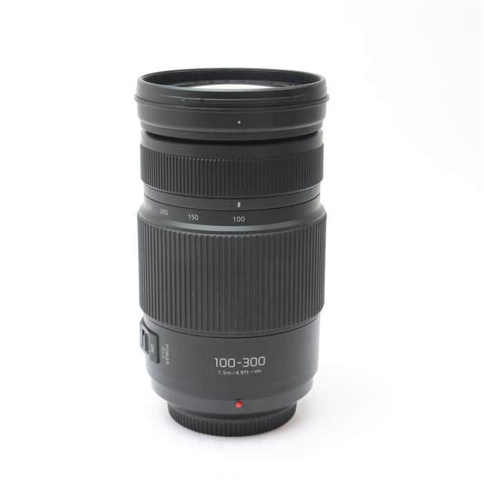 LUMIX G VARIO 100-300mm F4.0-5.6 II POWER O.I.S.