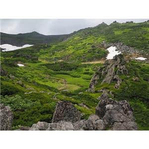 OM SYSTEM（オーエムシステム） M.ZUIKO DIGITAL 17mm F1.8 II