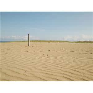 OM SYSTEM（オーエムシステム） M.ZUIKO DIGITAL 17mm F1.8 II