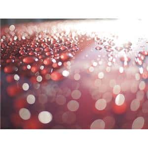 OM SYSTEM（オーエムシステム） M.ZUIKO DIGITAL 17mm F1.8 II