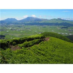 OM SYSTEM（オーエムシステム） M.ZUIKO DIGITAL 17mm F1.8 II