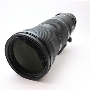 Nikon (ニコン) NIKKOR Z 180-600mm F5.6-6.3 VR メイン