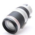 Canon (キヤノン) EF100-400mm F4.5-5.6L IS II USM