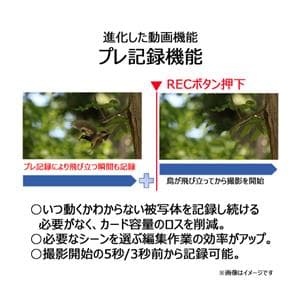 Canon (キヤノン) EOS R6 Mark II RF24-105 IS STMレンズキット