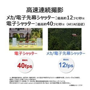 Canon (キヤノン) EOS R6 Mark II RF24-105 IS STMレンズキット