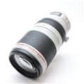 EF100-400mm F4.5-5.6L IS II USM