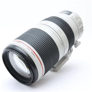 レンズ(ズーム) Canon EF100-400F4.5-5.6L IS 2 USM 交換レンズレビュー：EF100-400mm F4.5-5.6L IS II USM