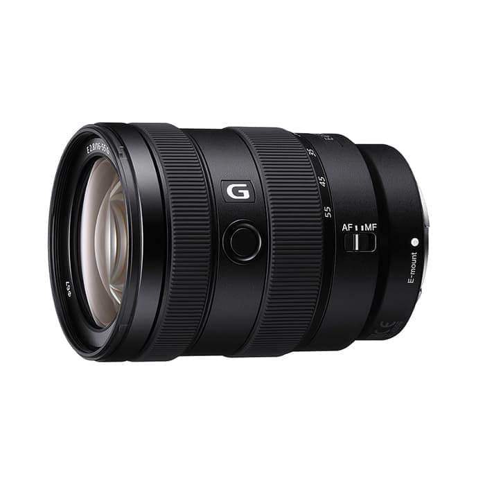 極美品 SONY E 16-55mm F2.8 G SEL1655G