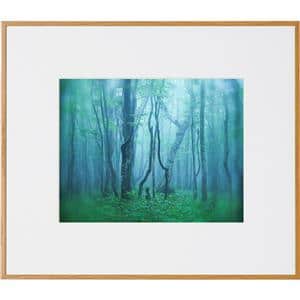 Kenko (ケンコー) アルミ額縁 ギャラリー 六切 アクリル入り AGY-6-NA ナチュラル メイン