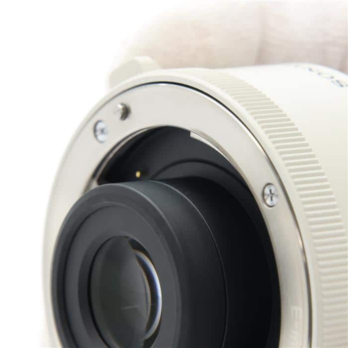 2x Teleconverter SEL20TC