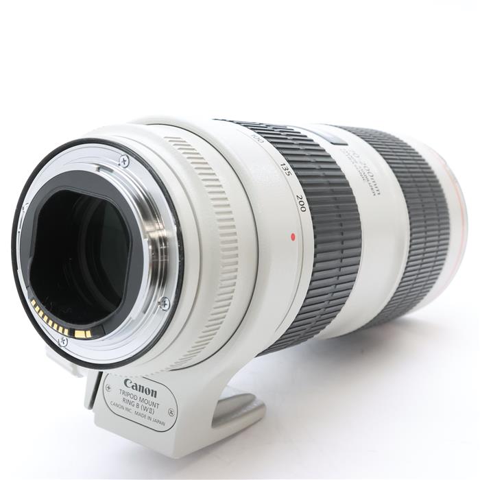 EF70-200mm F2.8L IS III USM