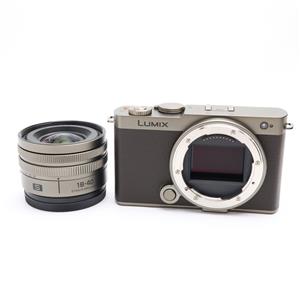 Panasonic (パナソニック) LUMIX S9 広角ズームレンズキット DC-S9N-N