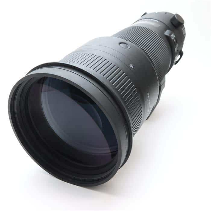 Sports 500mm F4 DG OS HSM  (キヤノンEF用)