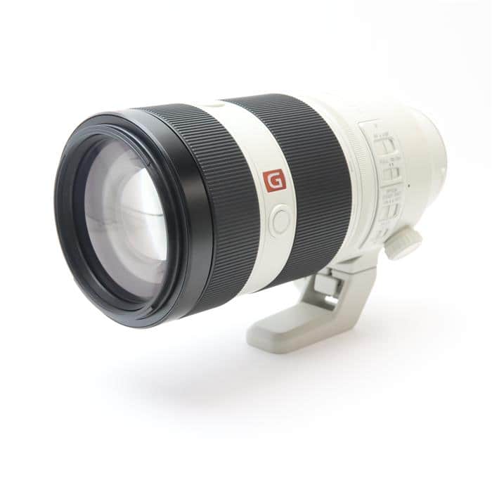 FE 100-400mm F4.5-5.6 GM OSS SEL100400GM