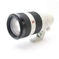 FE 100-400mm F4.5-5.6 GM OSS SEL100400GM