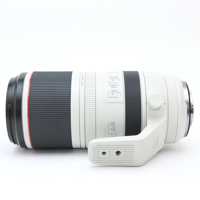 RF100-500mm F4.5-7.1 L IS USM