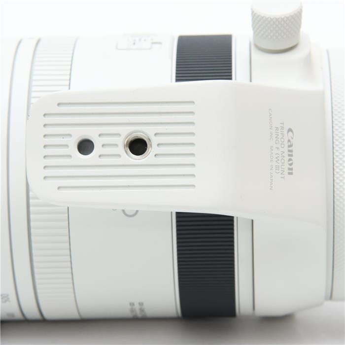 RF100-500mm F4.5-7.1 L IS USM