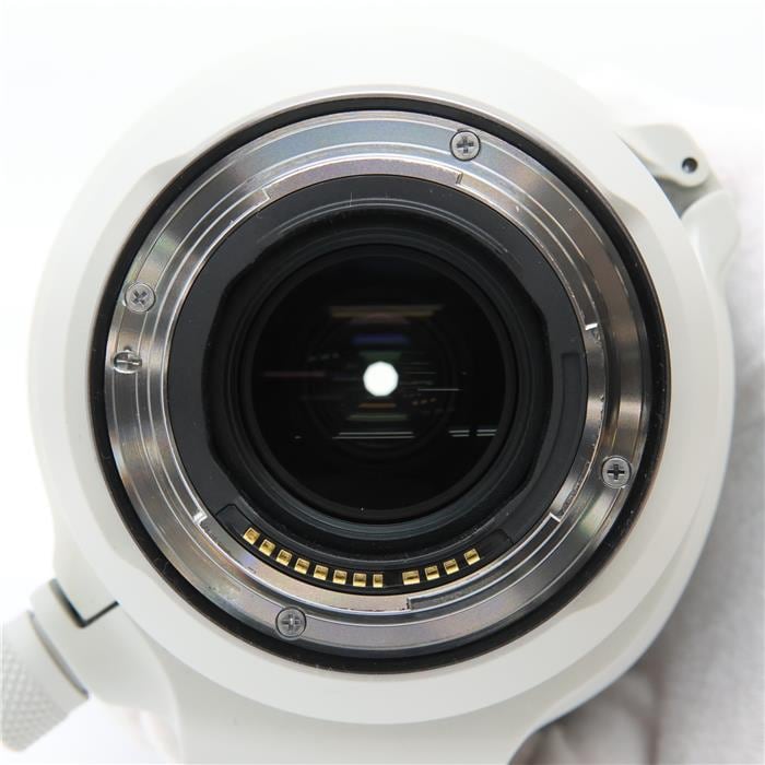 RF100-500mm F4.5-7.1 L IS USM