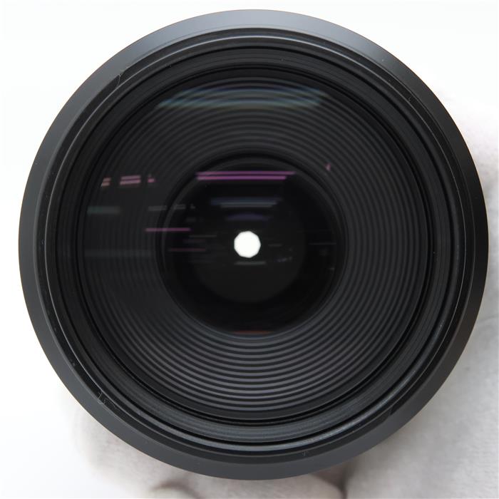 RF100-500mm F4.5-7.1 L IS USM