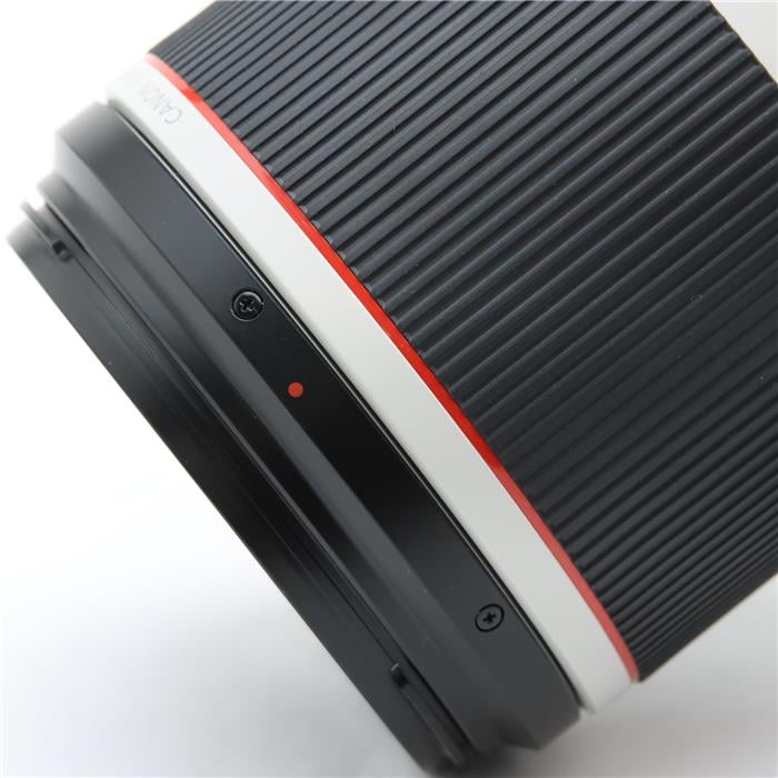 RF100-500mm F4.5-7.1 L IS USM