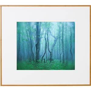 Kenko (ケンコー) アルミ額縁 ギャラリー 四切 アクリル入り AGY-4-NA ナチュラル メイン