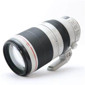 Canon (キヤノン) EF100-400mm F4.5-5.6L IS II USM メイン