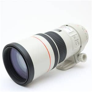 極美品Canon 300mm F4 L IS USM キャノンサンヨン