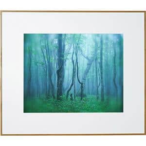 Kenko (ケンコー) アルミ額縁 ギャラリー 半切 アクリル入り AGY-H-NA ナチュラル メイン